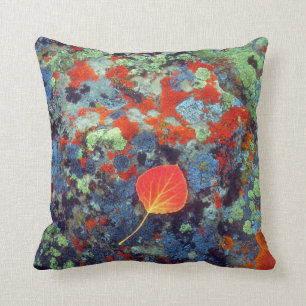 Coussin Feuilles d'Aspen sur un rocher recouvert de lichen