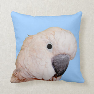 Coussin Fin moluquoise de perroquet vers le haut de
