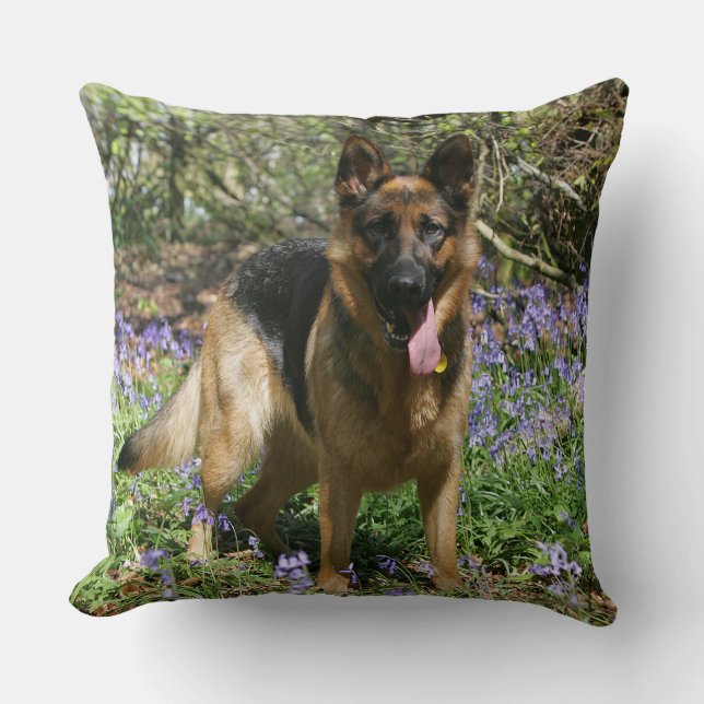 Coussin Fixation de berger allemand (Recto)
