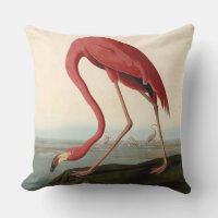 Flamant rose américain d'Audubon