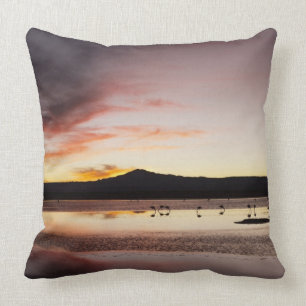 Coussin Flamant rose chilien