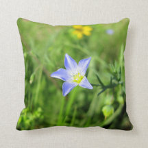Fleur bleue sauvage de lin