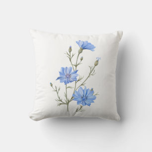 Coussin Fleur chicorée sauvage Aquarelle botanique Art