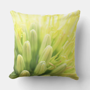 Coussin Fleur d'Agave Été Lumineuse