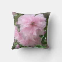 Fleur de cerise