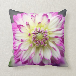 Coussin Fleur de dahlia de Fuschia