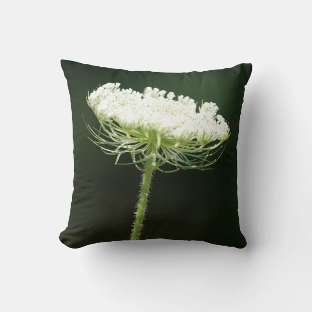 Coussin Fleur de dentelle de la Reine Anne (Recto)