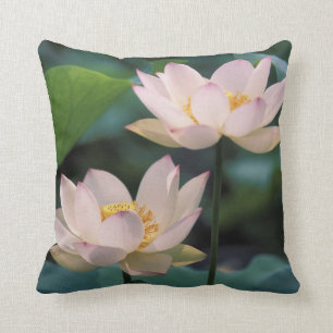 Coussin Fleur de Lotus en fleurs, Chine