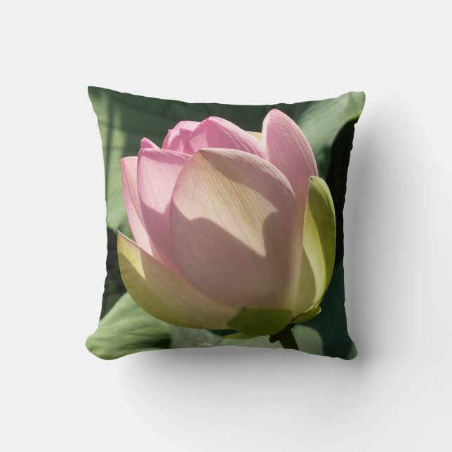 Coussin Fleur de Lotus rose florissante été (Recto)