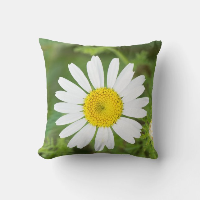 Coussin Fleur de marguerite (Recto)