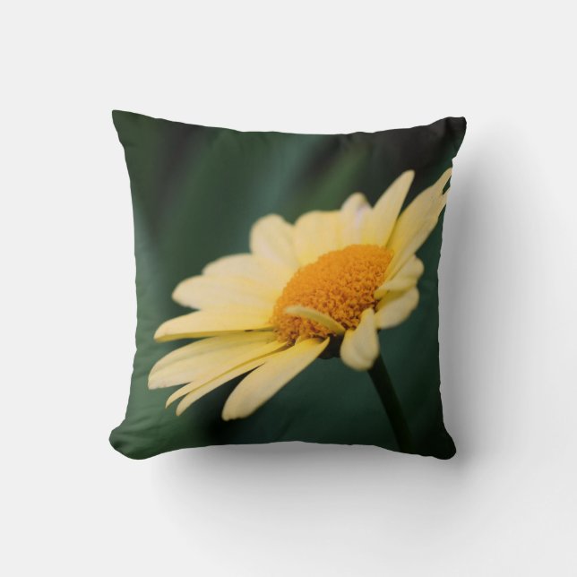Coussin Fleur de marguerite jaune gros (Recto)