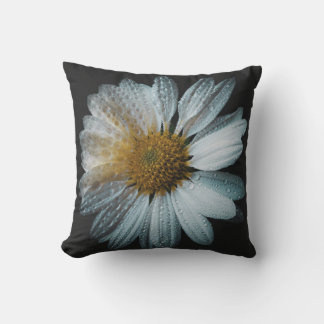 Coussin Fleur marguerite blanche avec gouttes d'eau