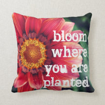 Fleur où vous êtes plantés