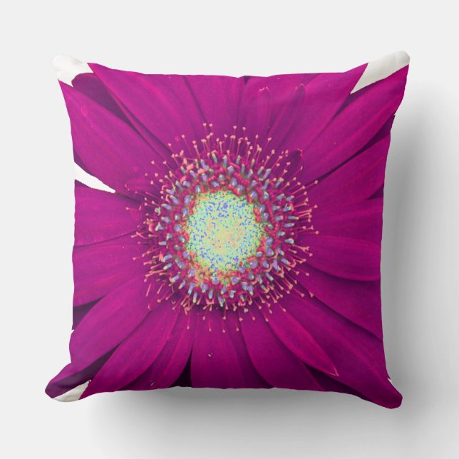 Coussin Fleur pourpre Gerbera Daisy (Recto)