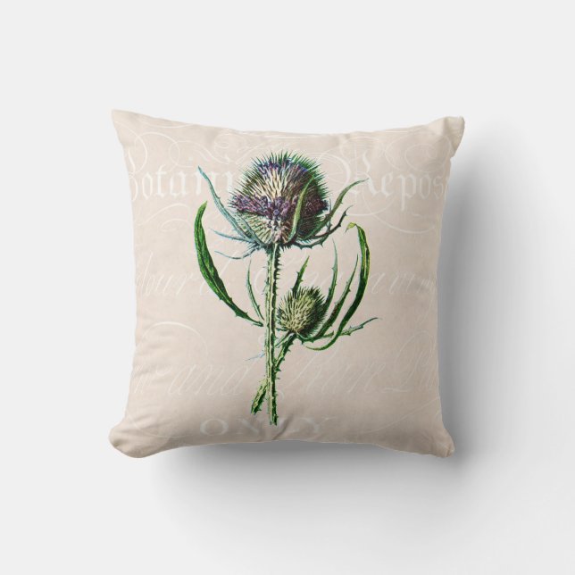 Coussin Fleur sauvage de chardon d'écossais du cru 1902 (Recto)
