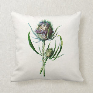 Coussin Fleur sauvage de vieux chardon écossais du cru