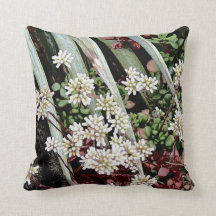 Fleurs blanches et feuilles