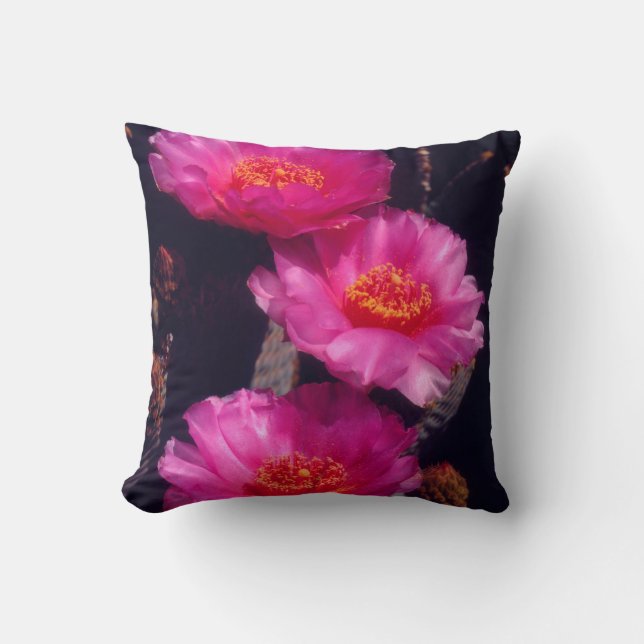 Coussin Fleurs de Cactus Beavertail 2 (Recto)