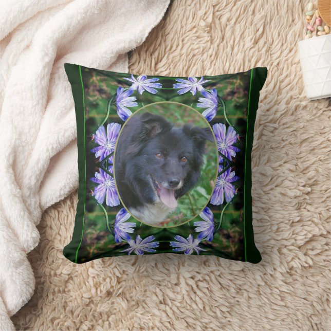 Coussin Fleurs de chicorée sauvages Cadre Créer votre prop (Couverture)