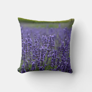 Coussin Fleurs de lavande violette