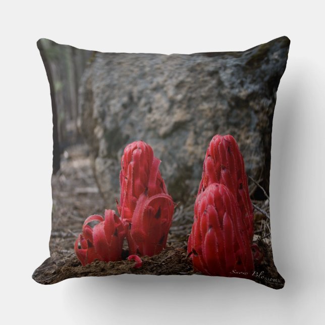 Coussin Fleurs de neige (Recto)