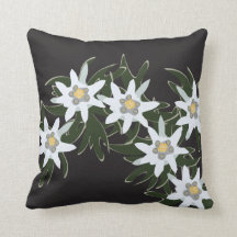 Fleurs Edelweiss
