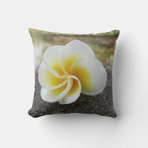 Fleurs, insectes, japonais, asiatique, chinois, vi