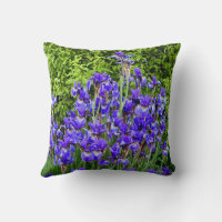 Fleurs Iris Violettes Sur Le Trottoir