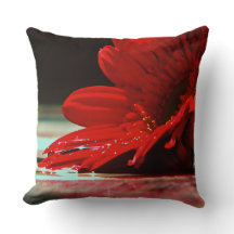 Fleurs rouges de Gerbera de marguerite