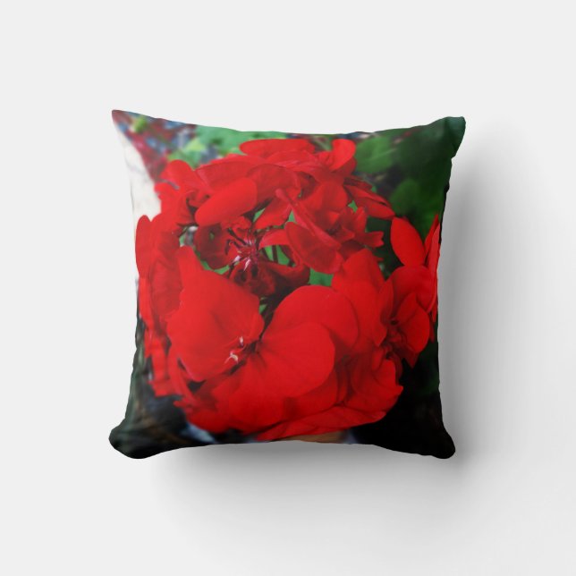 Coussin floral de géraniums rouges par Sharles (Recto)