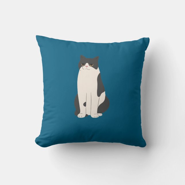 Coussin Fluffy Chat Turquoise (Recto)