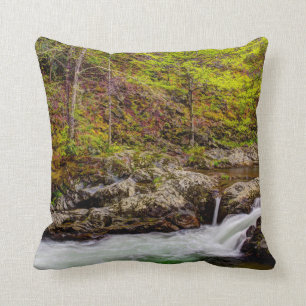 Coussin Flux De Forêts Dans Les Grandes Montagnes Fumées