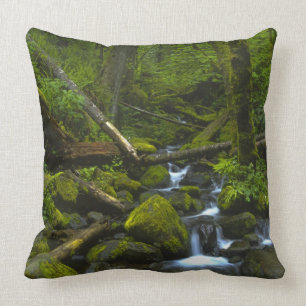 Coussin Flux tempéré de forêt tropicale dans la rivièr
