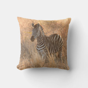 Coussin Foie zébrée au lever du jour photo