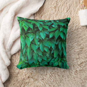 Coussin fond de haie verte parthenocissus motif texte