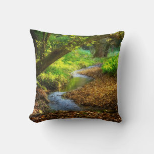 Coussin Forest Creek Belle nature Paysage Photo