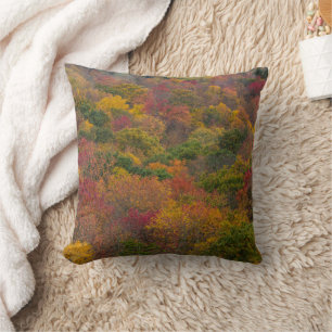 Coussin Forêt de feuillus dans le comté de Randolph, Virgi