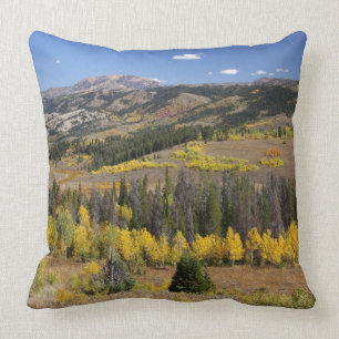 Coussin Forêt nationale de Bridger-Teton