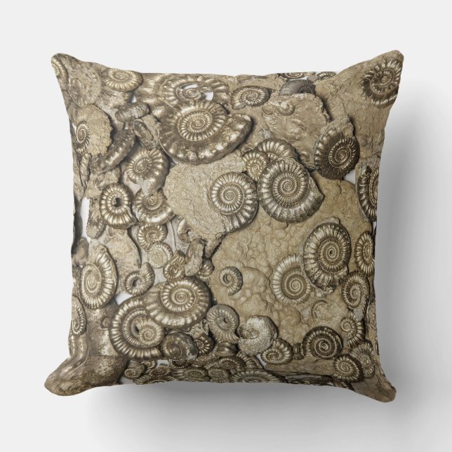 coussin fossile d'ammonite, côte jurassique, Dorse (Recto)