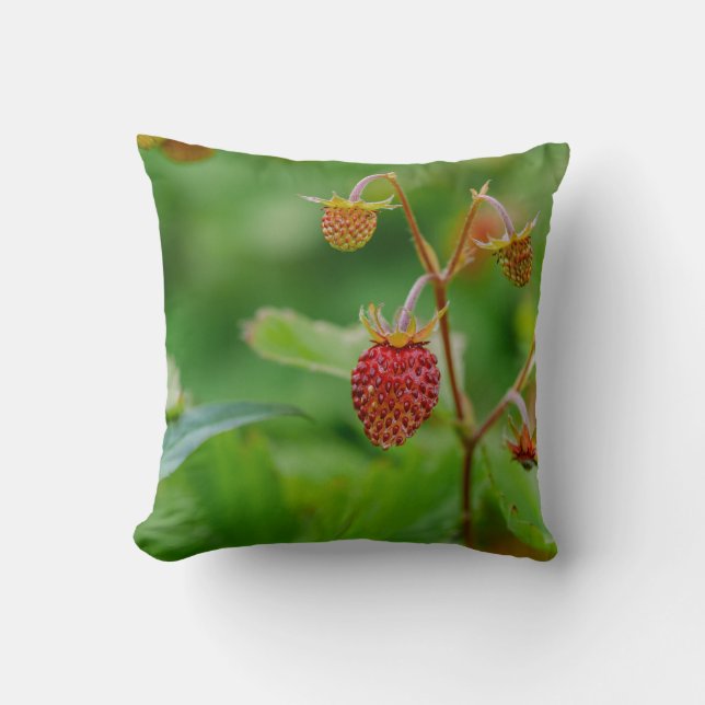 Coussin Fraise Fruite Fruite Vert Et Rouge Jardin Photo (Recto)