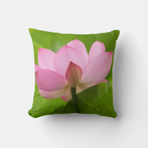 Coussin Franklin NC, jardin d'eau de Perry, Lotus