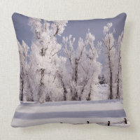 Frost a couvert les arbres et la barrière, le