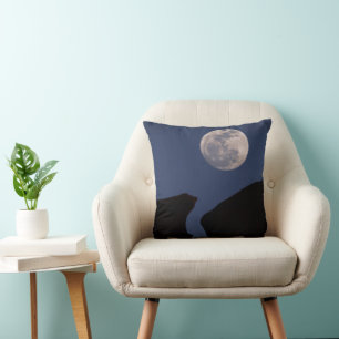 Coussin Full Moon   Monument Valley, Arizona