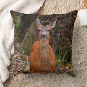 Coussin Funny Young Blacktail Deer sourit à un photographe