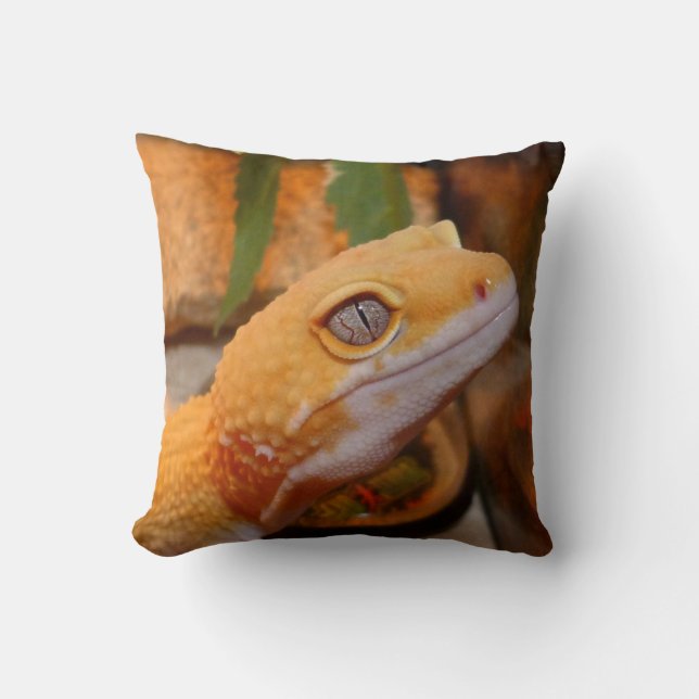 Coussin Gecko de Leopard (Recto)