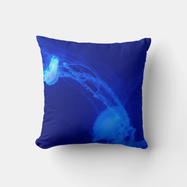 Coussin gelée fraîche (Recto)