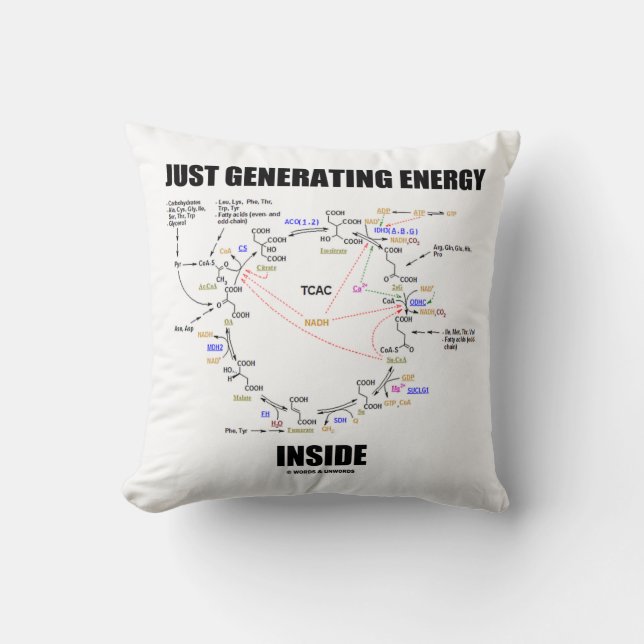 Coussin Générer de l'énergie à l'intérieur des Krebs Cycle (Recto)