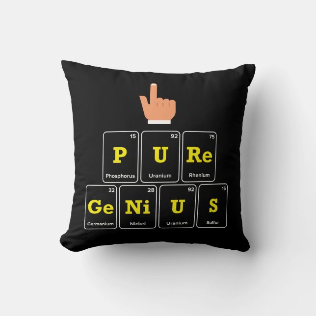 Coussin Génie pur (Recto)