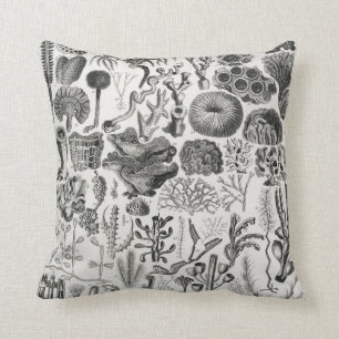 Coussin Géologie du corail fossile Minéraux Polypi
