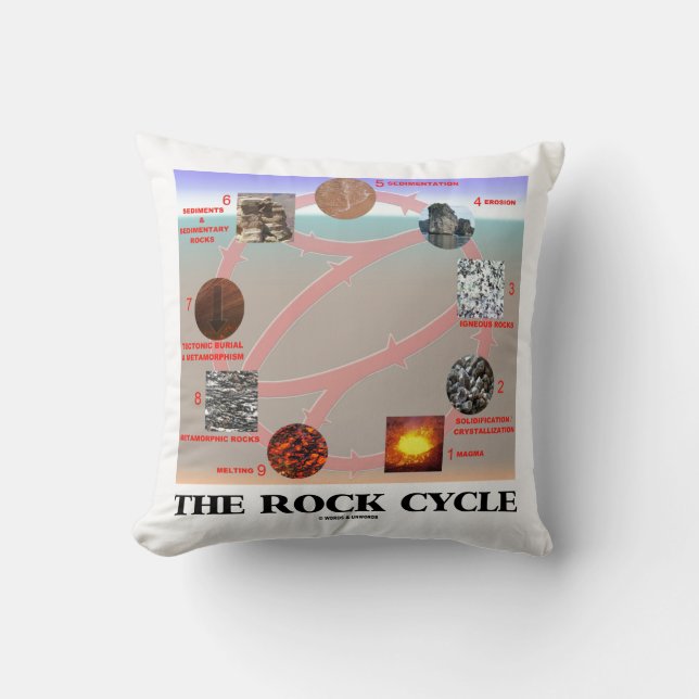 Coussin Géologie du cycle du roc Science de la Terre (Recto)